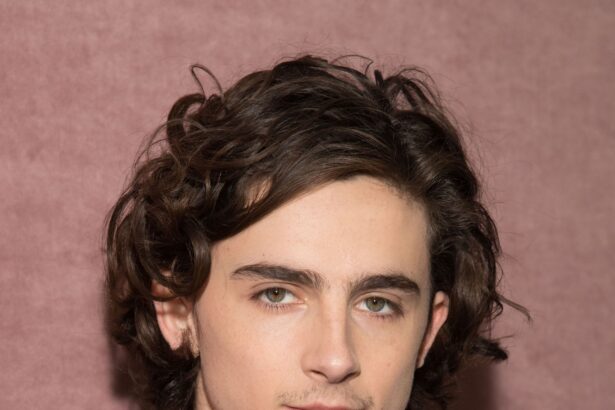 Timothée Chalamet